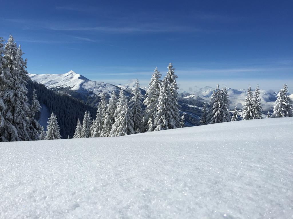 Das Juwel Reith Reith im Alpbachtal Exterior photo
